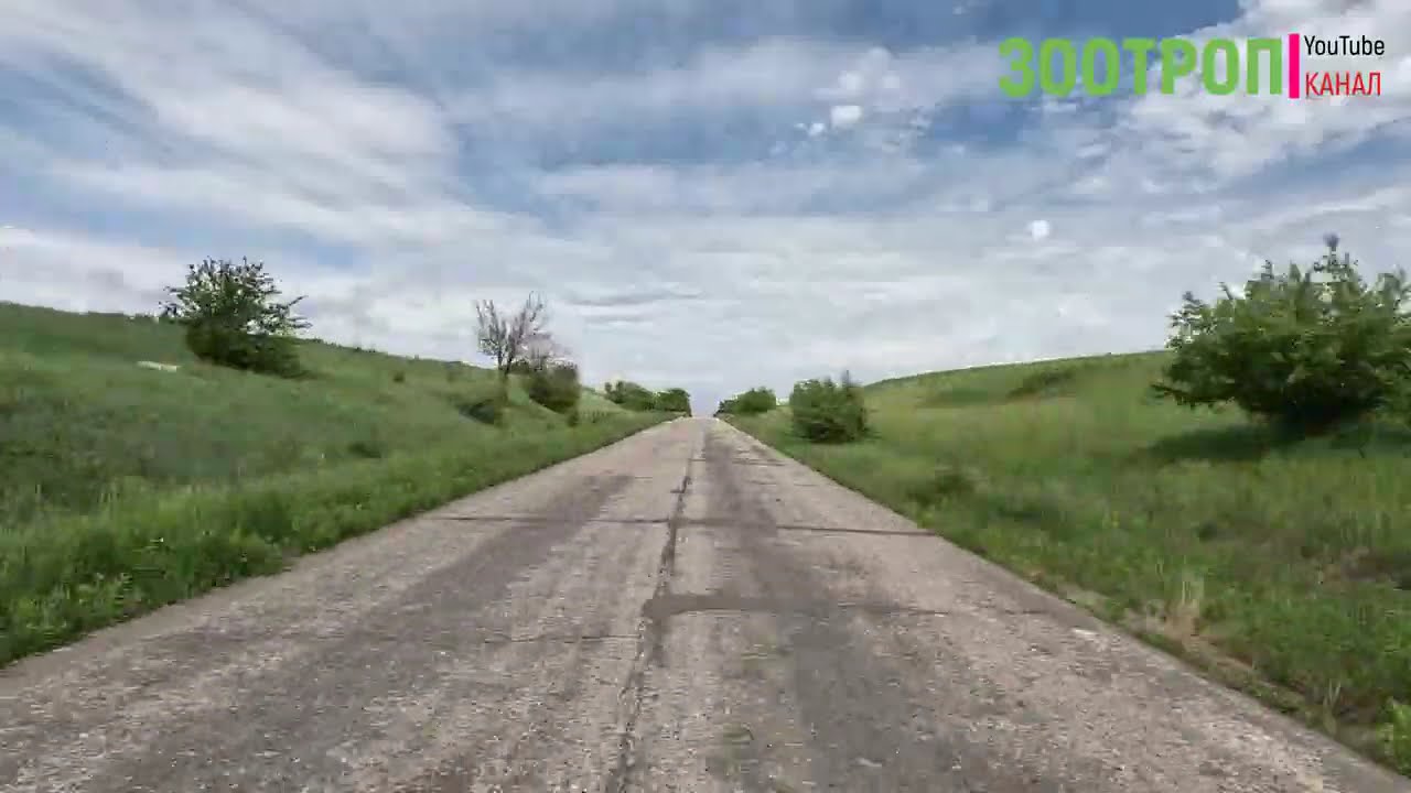 Онборд трасса М13. Дороги Украины. Одесса - Врадиевка. Полтавка. Хорошая дорога Кировоград. #зоотроп