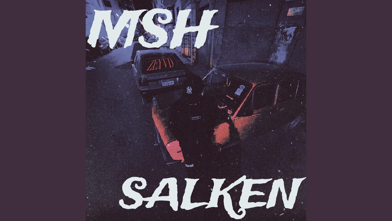 MSH SALKEN