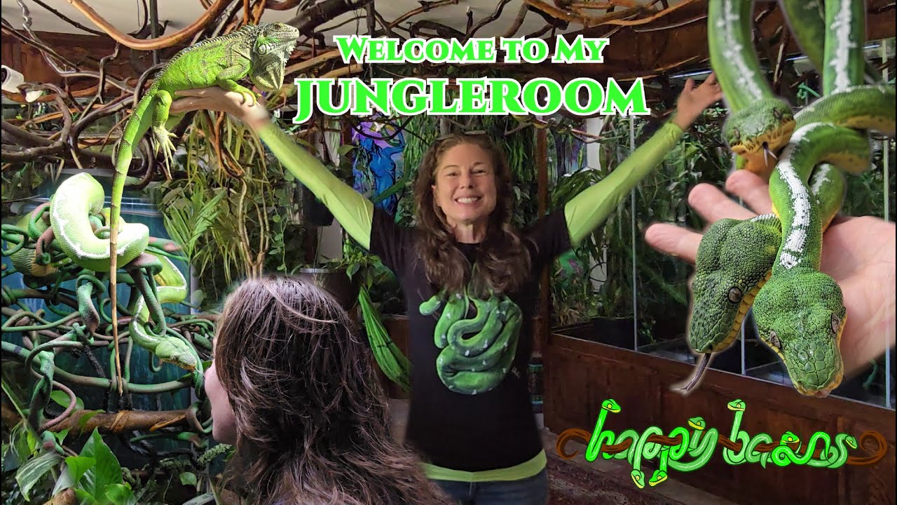 Welcome to Our HappyBasins Jungleroom