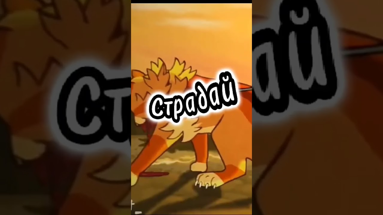 Жизнь Огнезвёзда за 6 секунд🗿#огник#warriorscats#кв#врекомендации#говреки