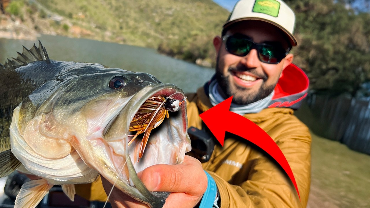 BUSCO a las GRANDES HEMBRAS de BLACK BASS en PRE-FREZA!