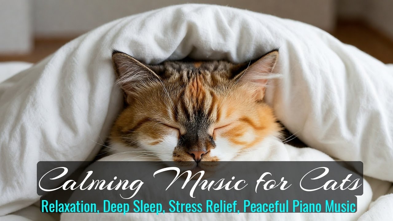 Calming Music for Cats - Relaxation, Deep Sleep, Stress Relief, Peaceful Piano Music | Season 30