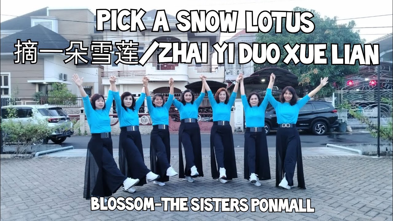 Pick A Snow Lotus/摘一朵雪莲/ZhaiYiDuoXueLian-LD||Choreo : Heru Tian||Improver||Blossom-TheSistersPonmall