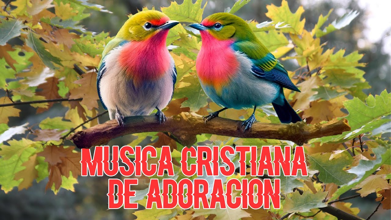 Musica Cristiana de Adoracion - Cadenas de Coritos con gozo🎷🎹☀️💫💥🔥🕊️