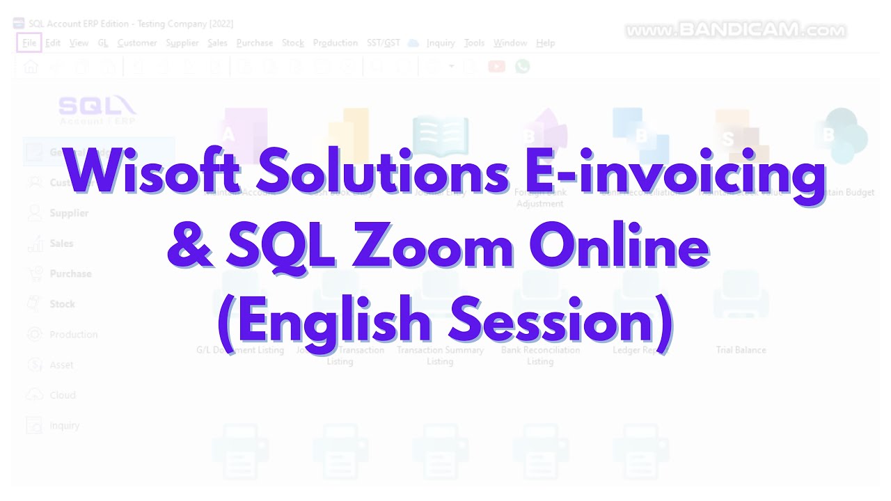 Wisoft Solutions E-invoicing & SQL Zoom Online (English Session) - Recorded Video 4/6/25