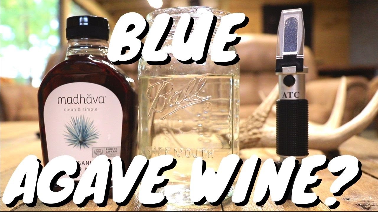 Can you make Blue Agave Wine?
