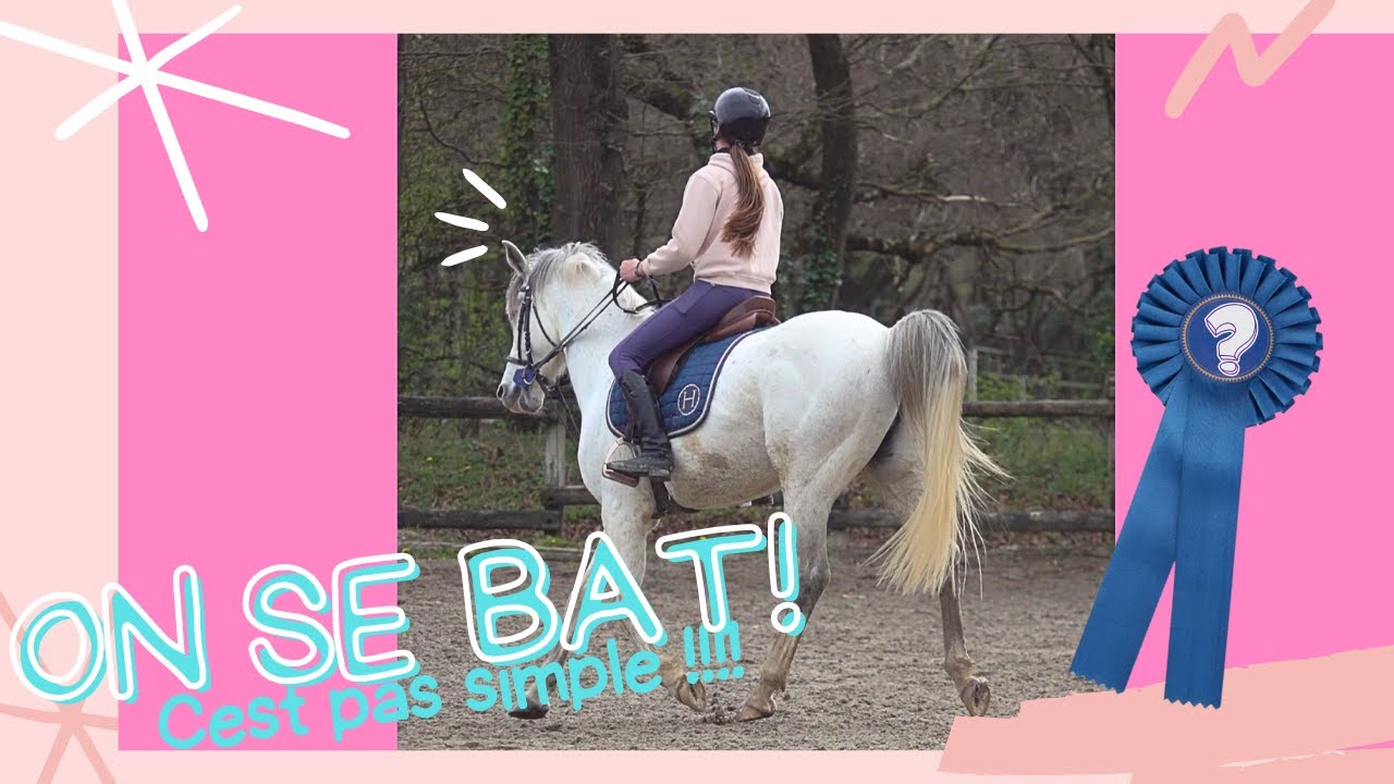 Préparation de son 1er Concours Dressage Club3 GP