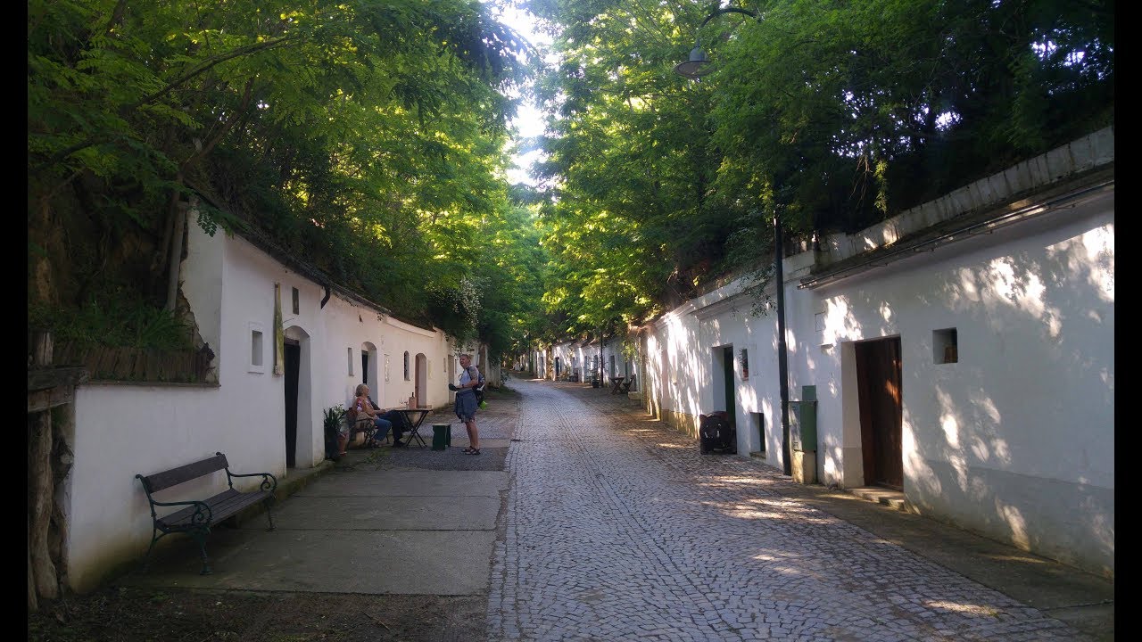 Die Weinviertler Kellergasse - zur Geschichte ihrer In Wert Setzung, Gerold E&szlig;er