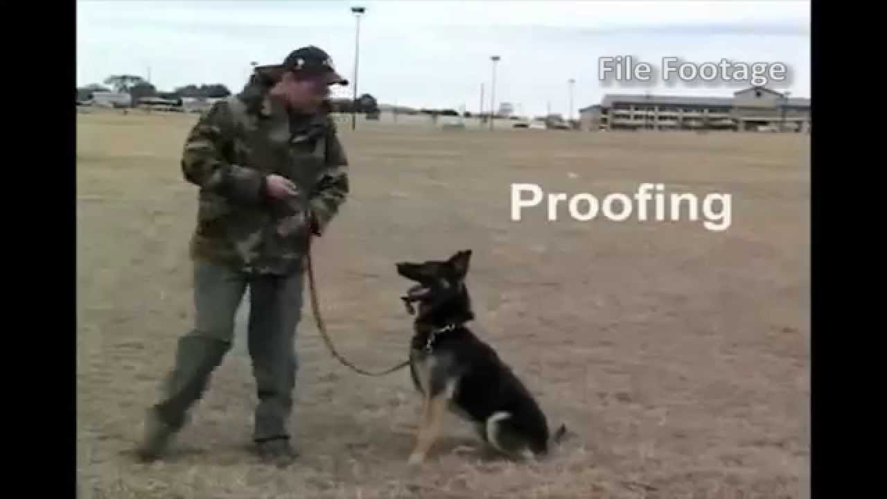 MWD JUMPY