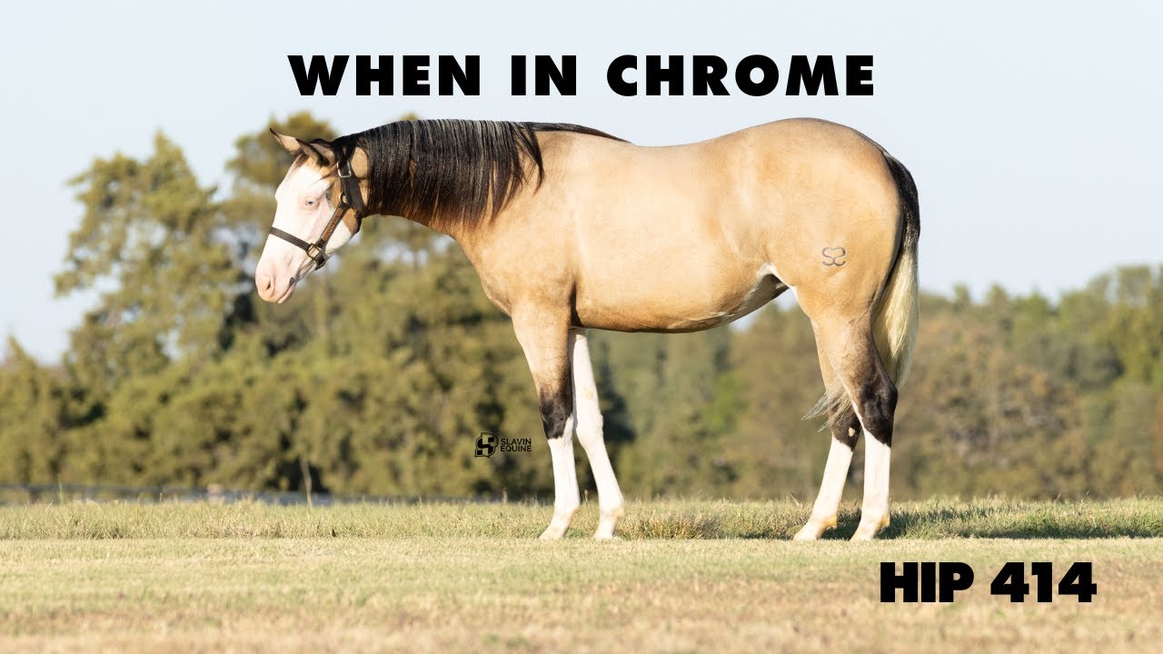 When In Chrome - Hip 414 NRHA Futurity Sale 2025