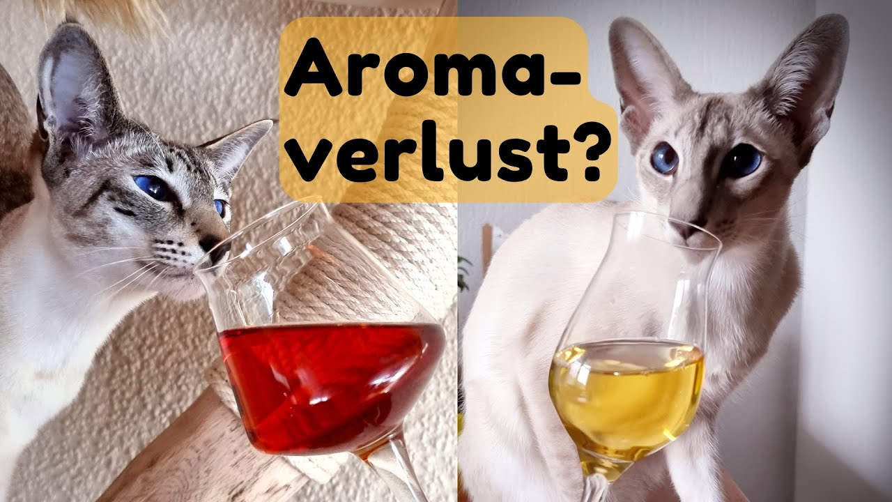 Kl&auml;rung und/oder Filterung: Verliert Euer Met dadurch Aroma? Zweij&auml;hriges Experiment!