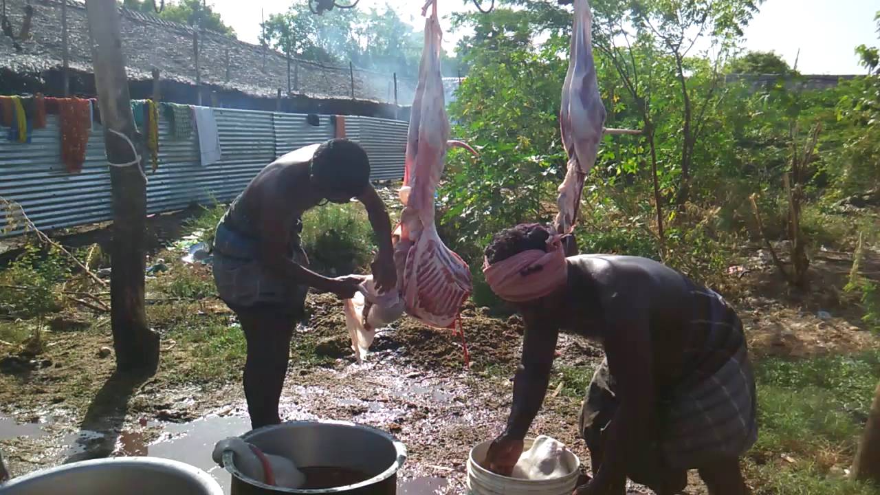 Irukkangudi Sri Mariyamman temple aadi festival video's
