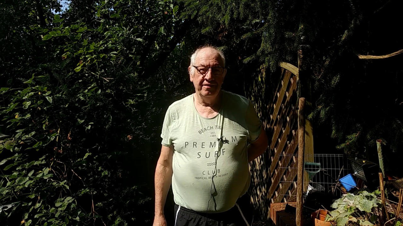 Riesen Bovisten in Massen. Der Bovist ein leckerer Pilz.( Risenbovisten )