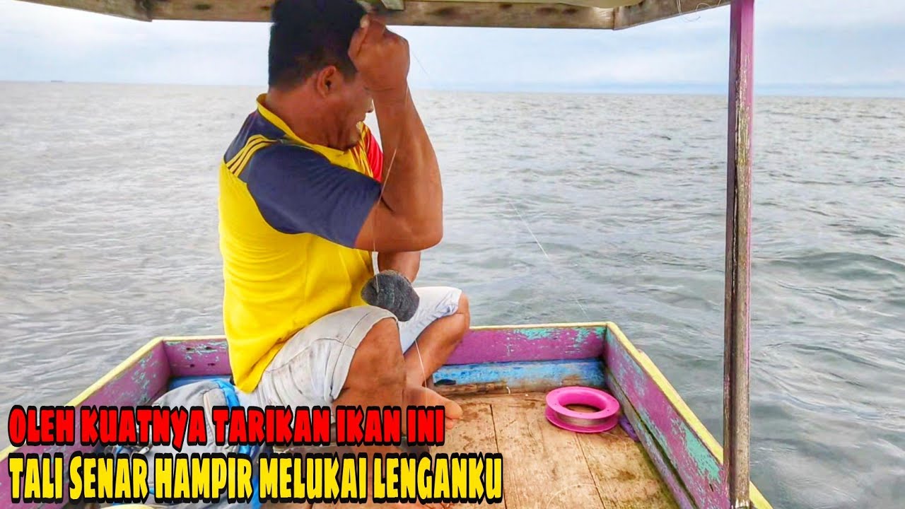 CARA MANCING DASARAN || target ikan besar