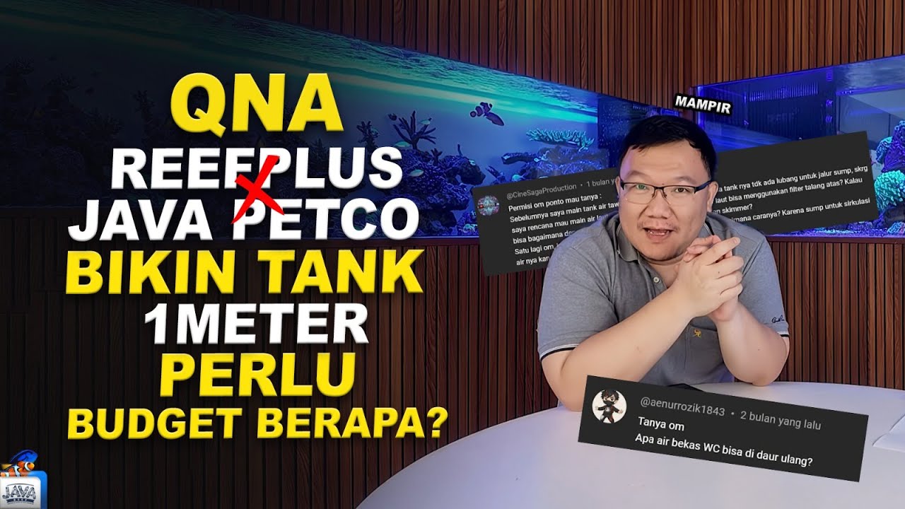 QNA REEF PLUS X JAVA PETCO - AKUARIUM LAUT PAKE FILTER TALANG?!