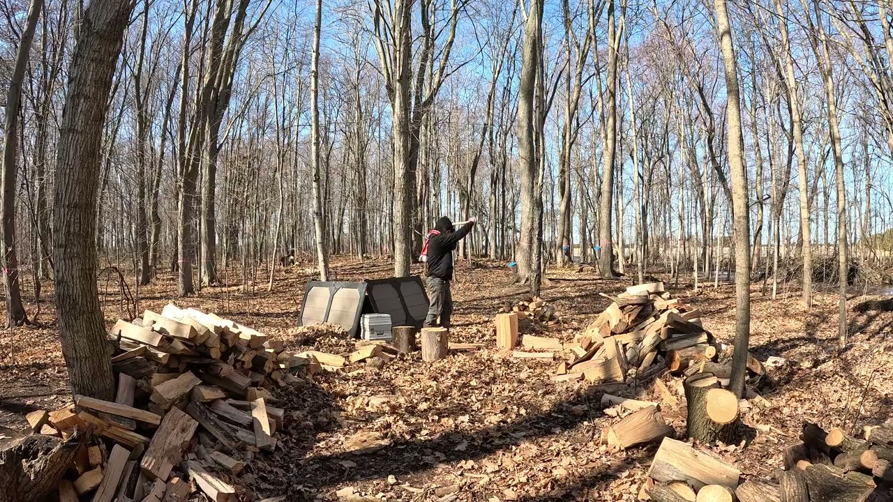 Daily Firewood: Day 47.