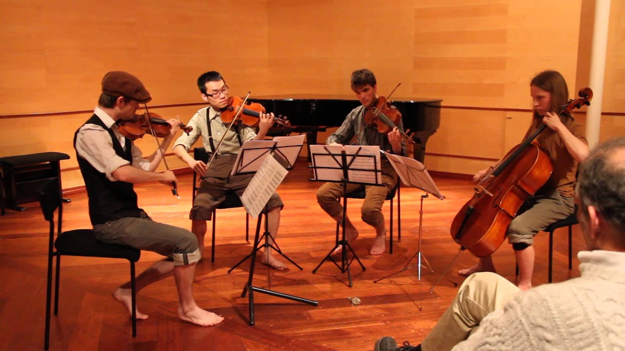 The Lord of the Rings for String quartet [HD] - IV. The Battle for Middle Earth