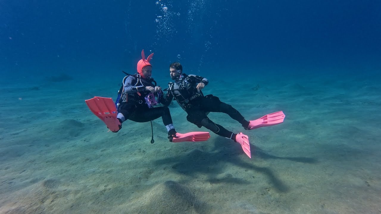 Diving With Schmoopies