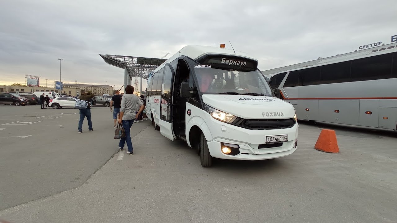Поездка на междугородном автобусе Foxbus до Толмачёво.
