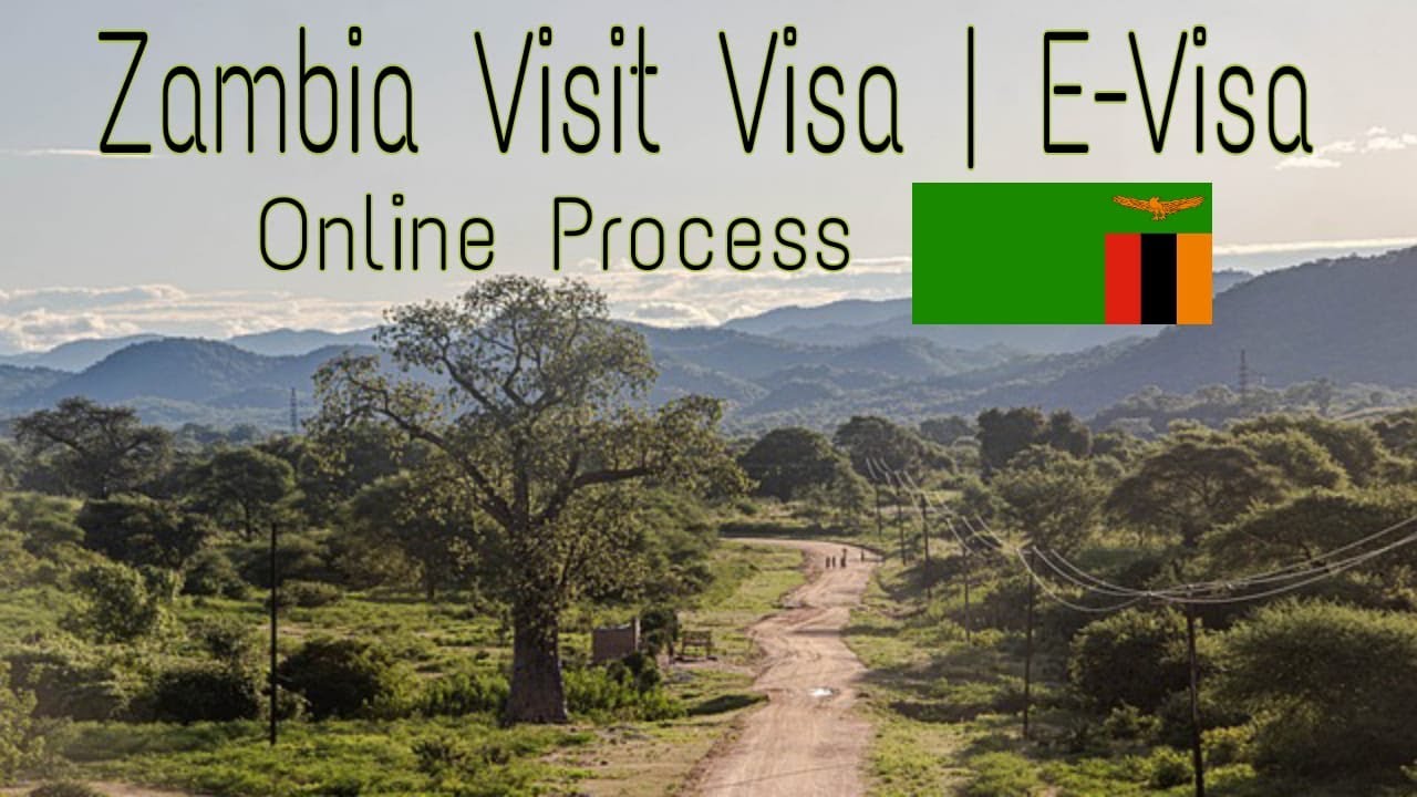 How To Apply Zambia Visit Visa | E-Visa Online 2023 Complete Process By Visa Vally #zambia