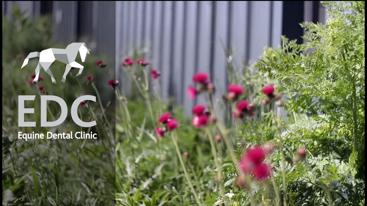 Our clinic! A video with interviews from the specialists Chris and Nicole