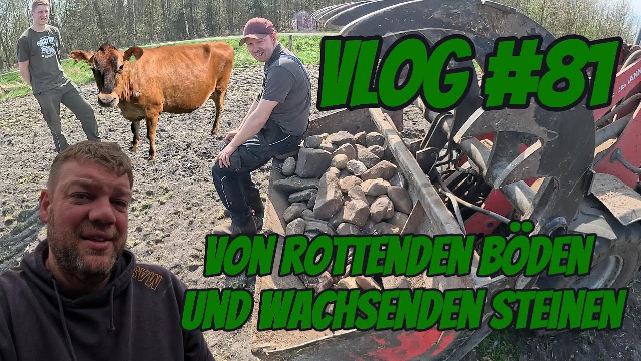 Farm-Vlog #81 Von rottenden Böden, wachsenden Steinen und durchdrehenden Kühen