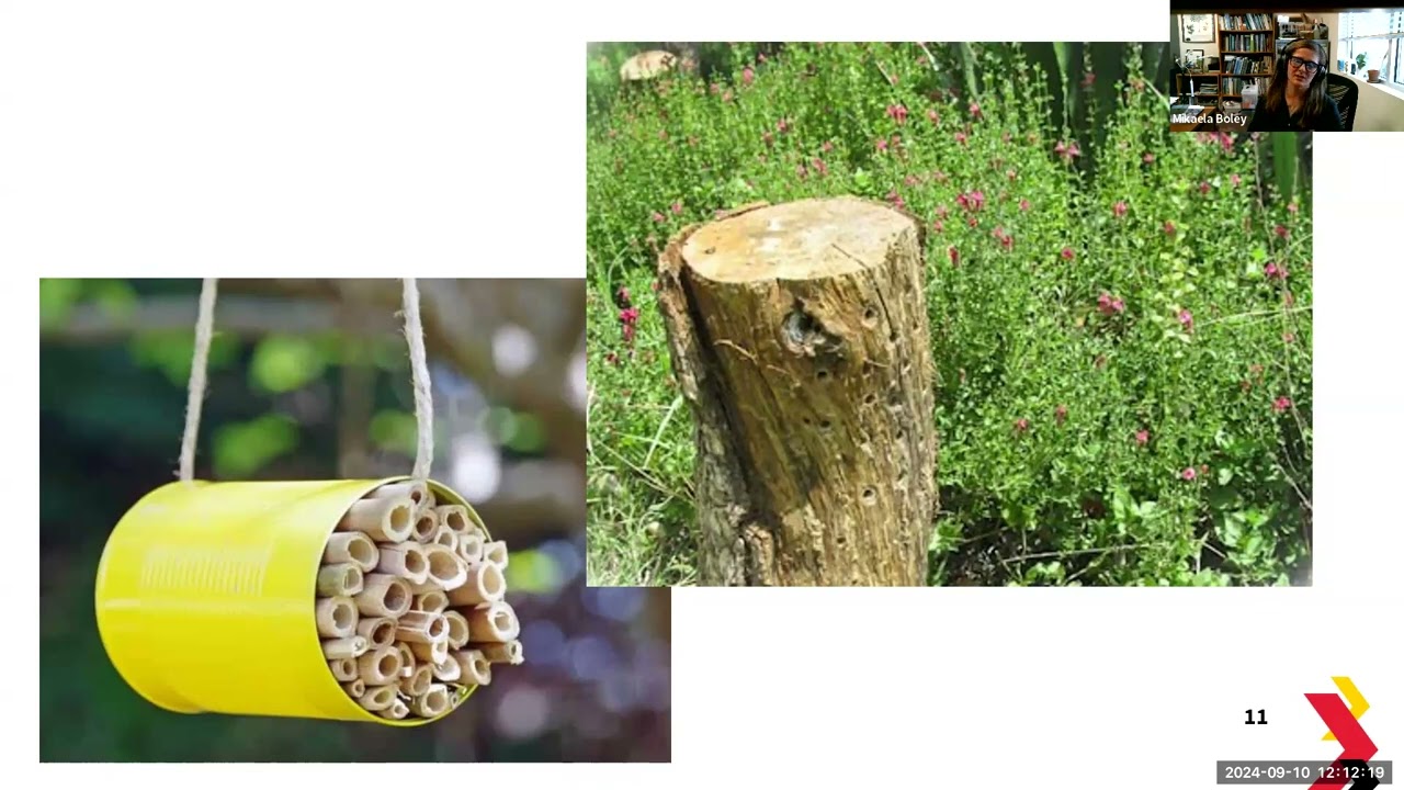Interplanting for Pollinators