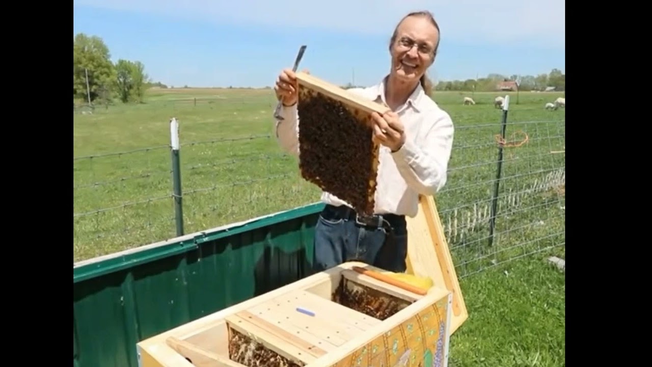 Hive Splits Helpful Info From Dr. Leo Sharashkin, our mentor