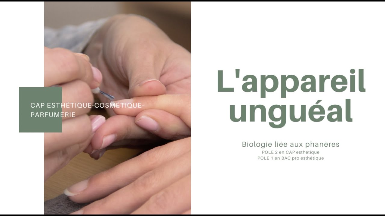 Appareil unguéal