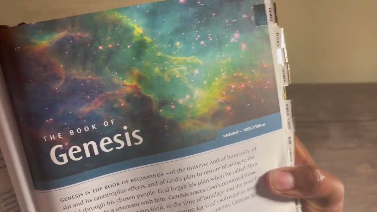 Bible Comparison | NLT Study Bible vs NLT Illustrated Study Bible | #biblereview
