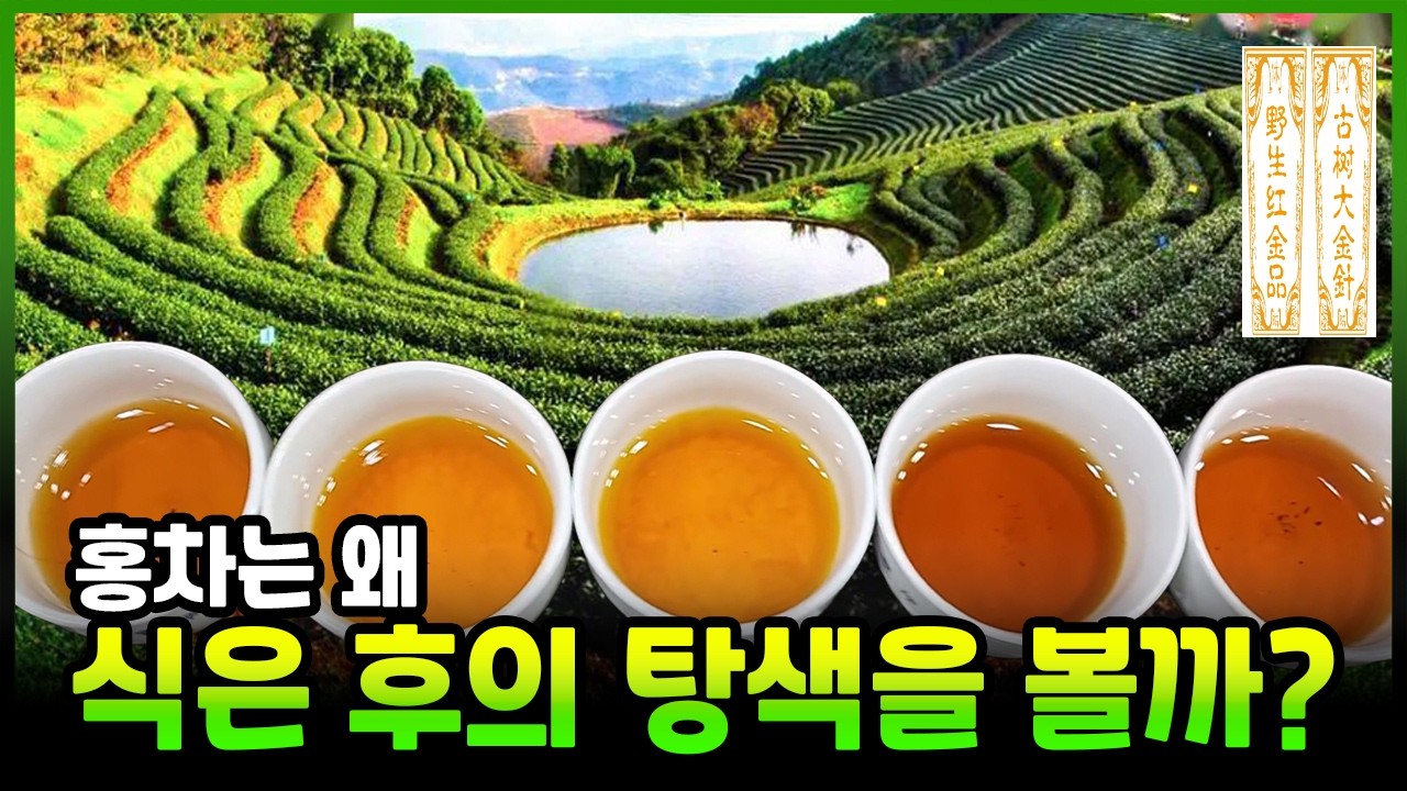 홍차는 왜 식은 후의 탕색을 볼까? 좋은 홍차 구별 방법