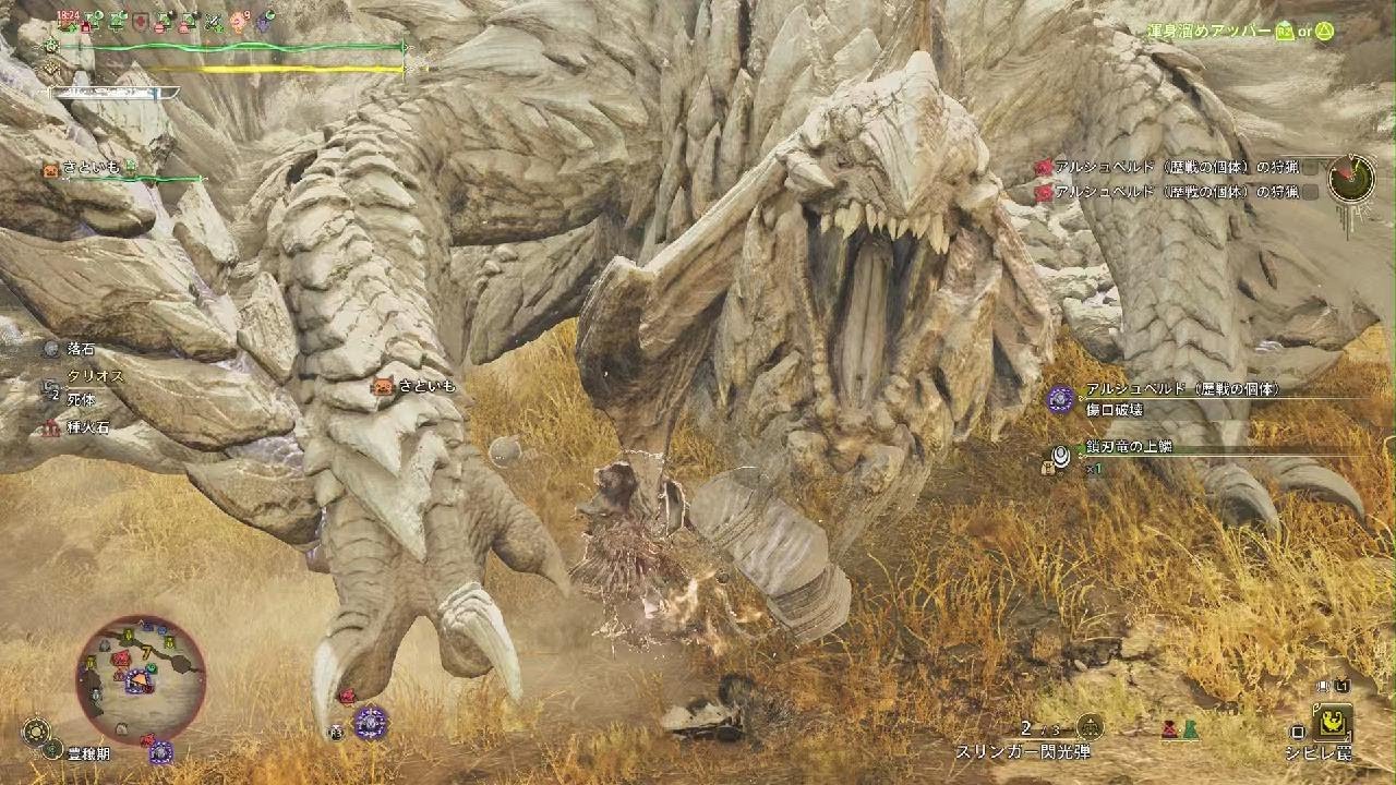 【モンハンワイルズ】星9アルシュベルド2体クエストがかなりしんどい(星9歴戦アルシュベルド　ソロハンマー　グダグダあり)