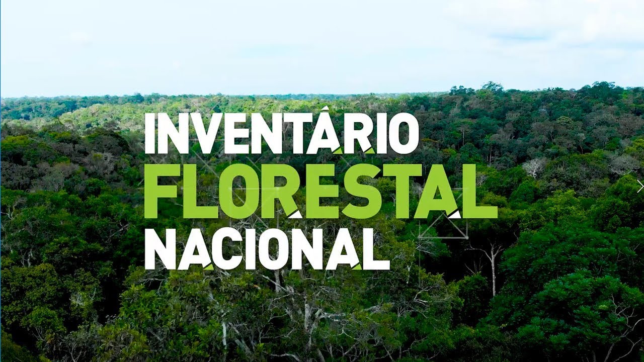 Inventário Florestal Nacional - Conhecer para Conservar (Versão estendida)
