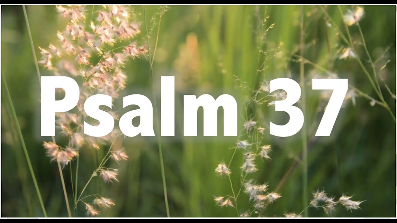 PSALM 37 ||| AWIT 37 Ang Kahihinatnan ng Masama at Mabuti