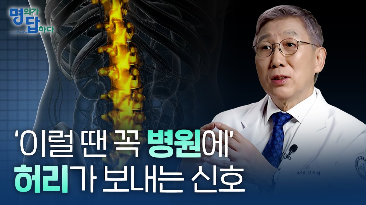 허리 통증, 병원에 갈지 말지 고민된다면? / 척추 EP.2-1 [명의가 답하다]