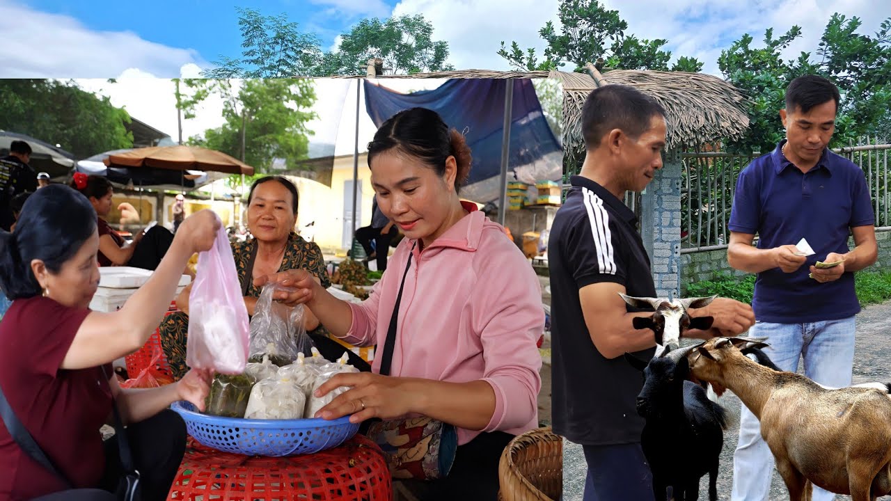 Expanding livestock herds, harvesting and selling clean produce&mdash;the simple life of Th&uacute;y and Mến.