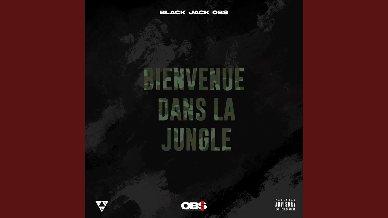 Bienvenue dans la jungle