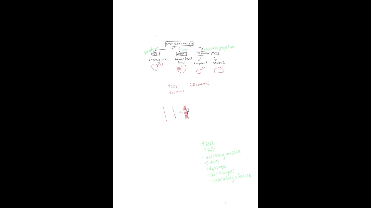 Arterial Compensation: Epinephrine, RAAS, Central and Peripheral Chemoreceptors