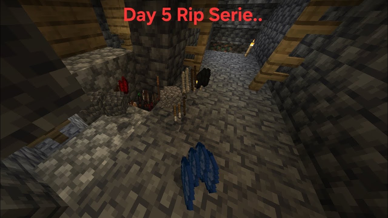 Seria minecraft Hardcore sa terminat...