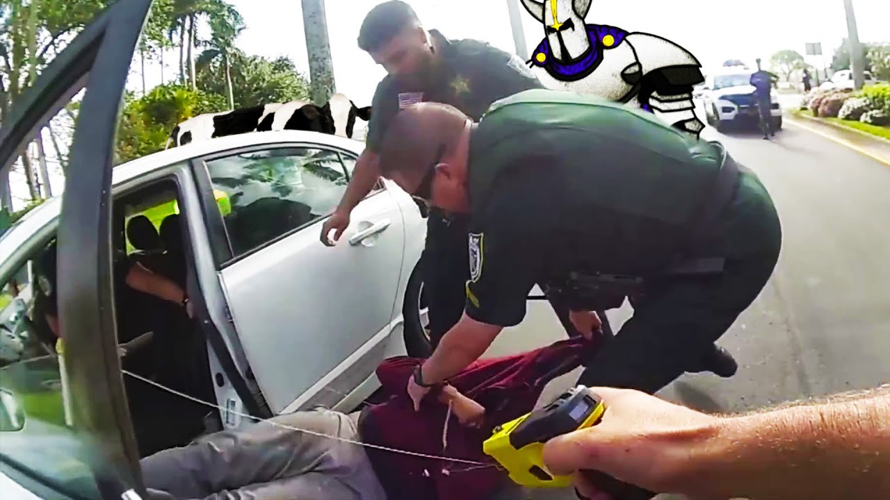 Idiot's Simple Traffic Stop Turns into Window Bust and TASED TWICE!