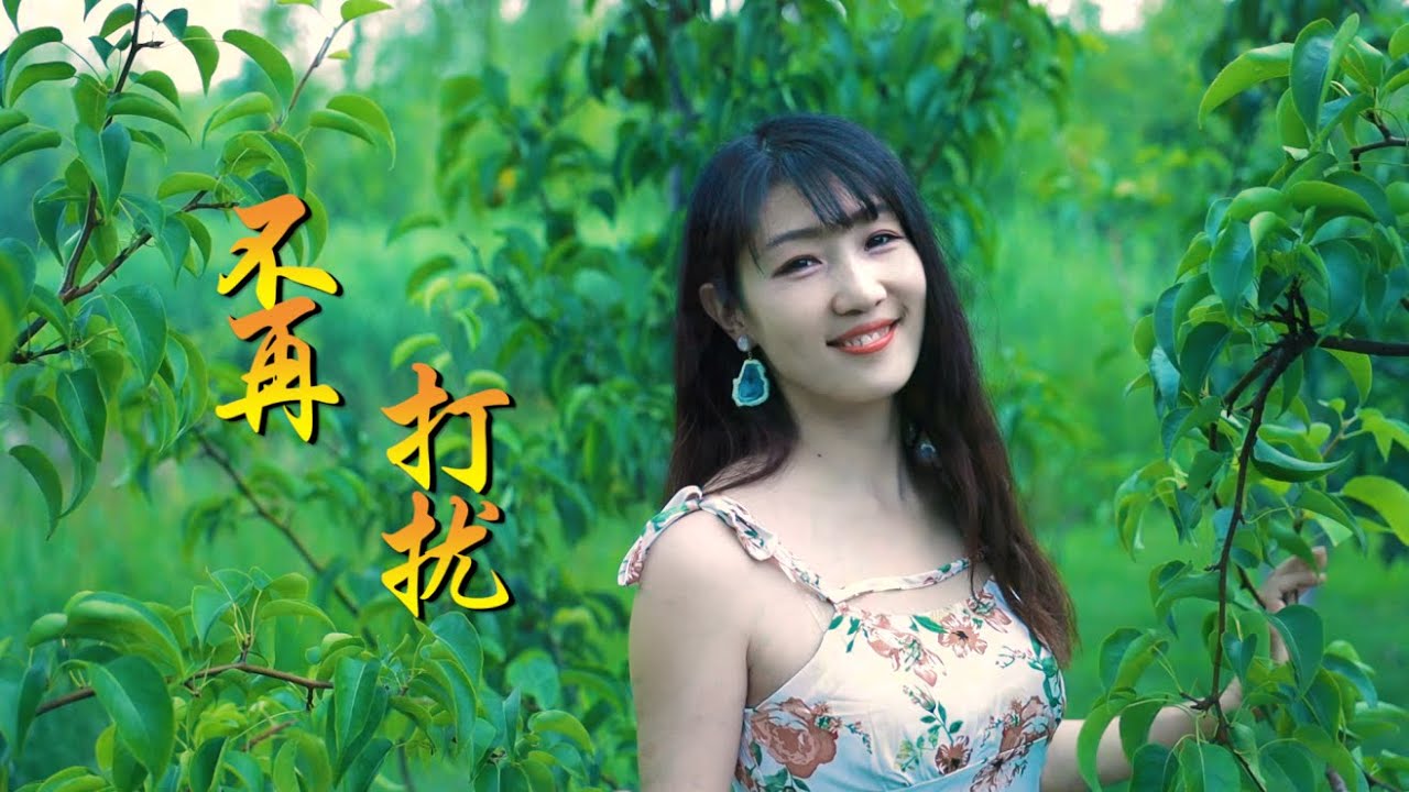 DJ情歌《不再打扰》郭力，我会退出你的世界，从此不会再见！