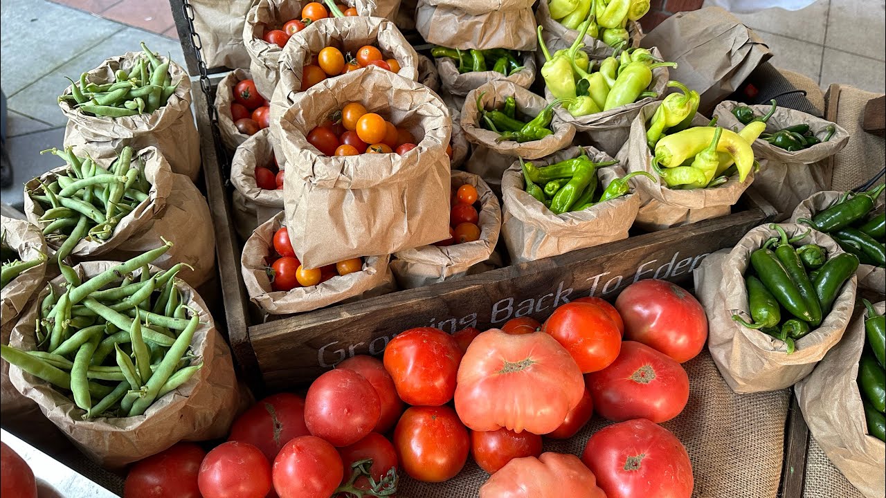 Florida Market Garden Update | May/Early Summer