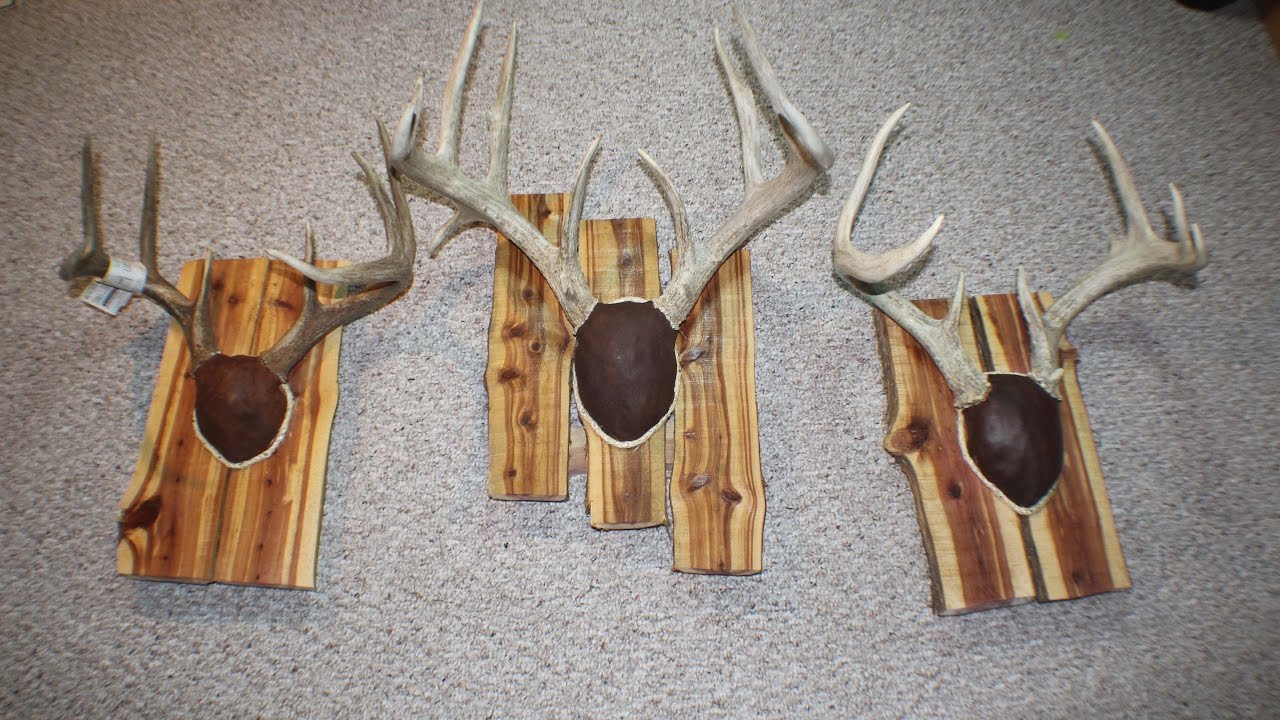 How To Make An Antler Mount