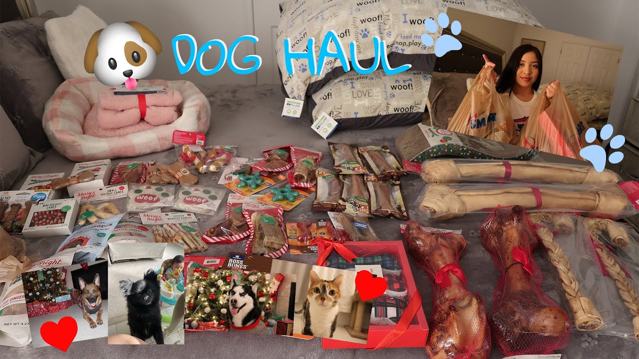 ОГРОМНЫЙ СКИДКА НА СОБАКУ! | Petsmart $200