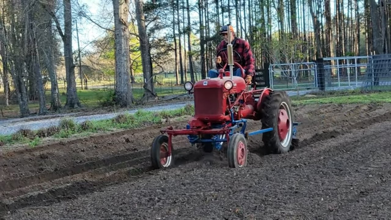 It is TIME to PLANT Yellow Wax Beans - Zone 8 - FARMALL Cub
