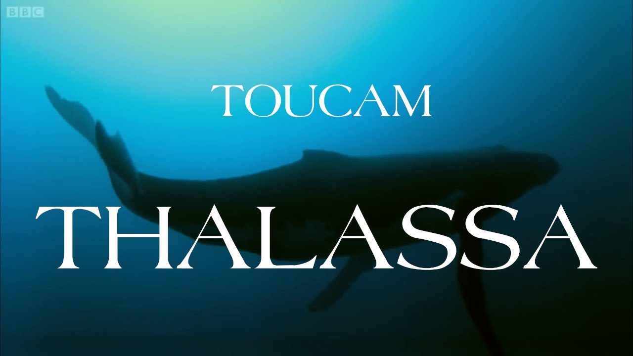 Thalassa