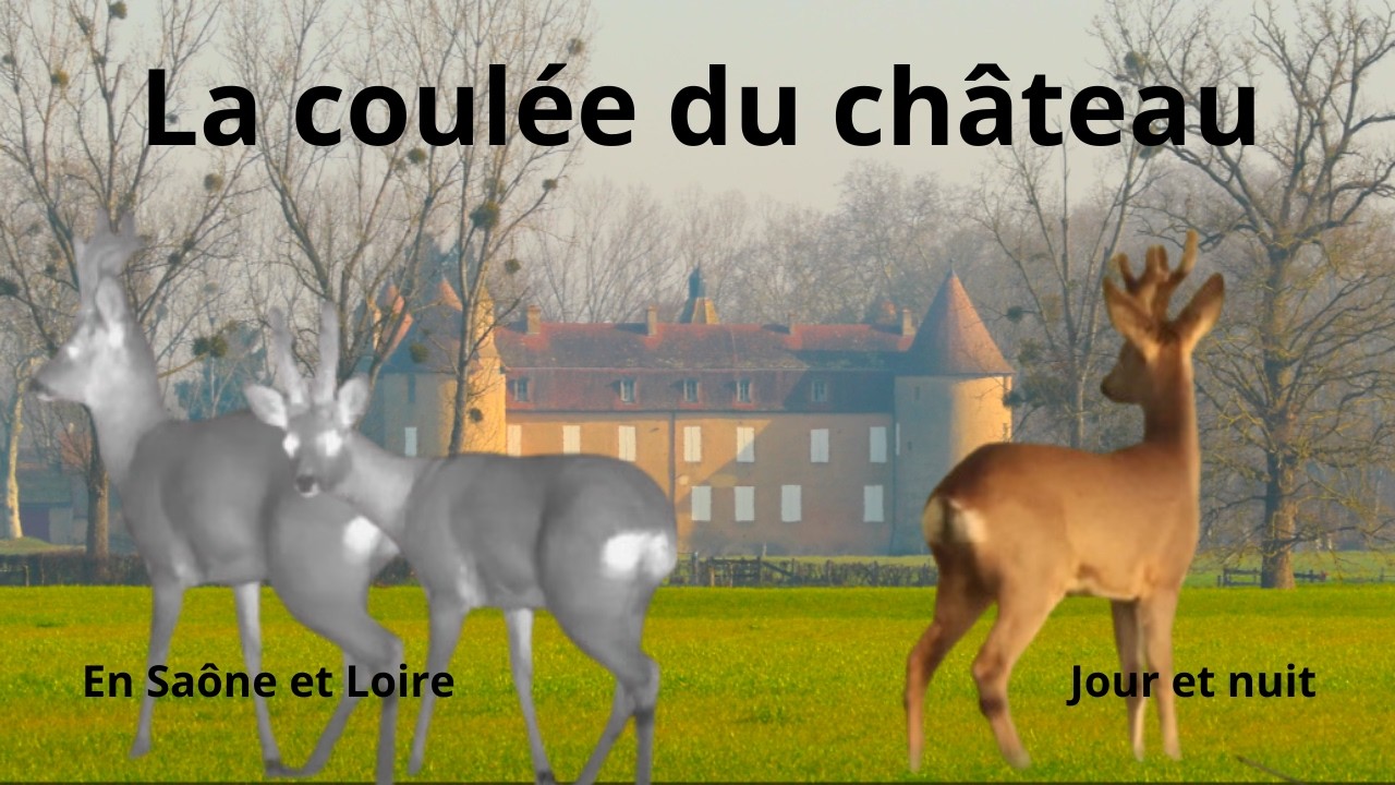 La coulée du château