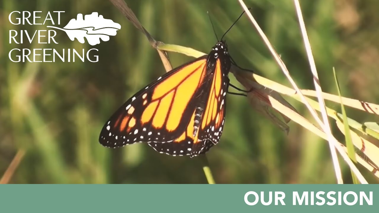 Great River Greening: Our Mission