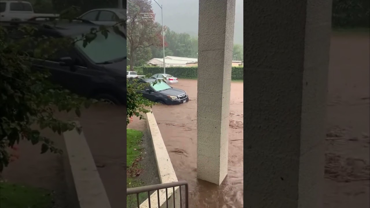 Самое сильное наводнение на Гавайях за последние 20 лет: дома смыты водой, ущерб 1 миллиард долла...
