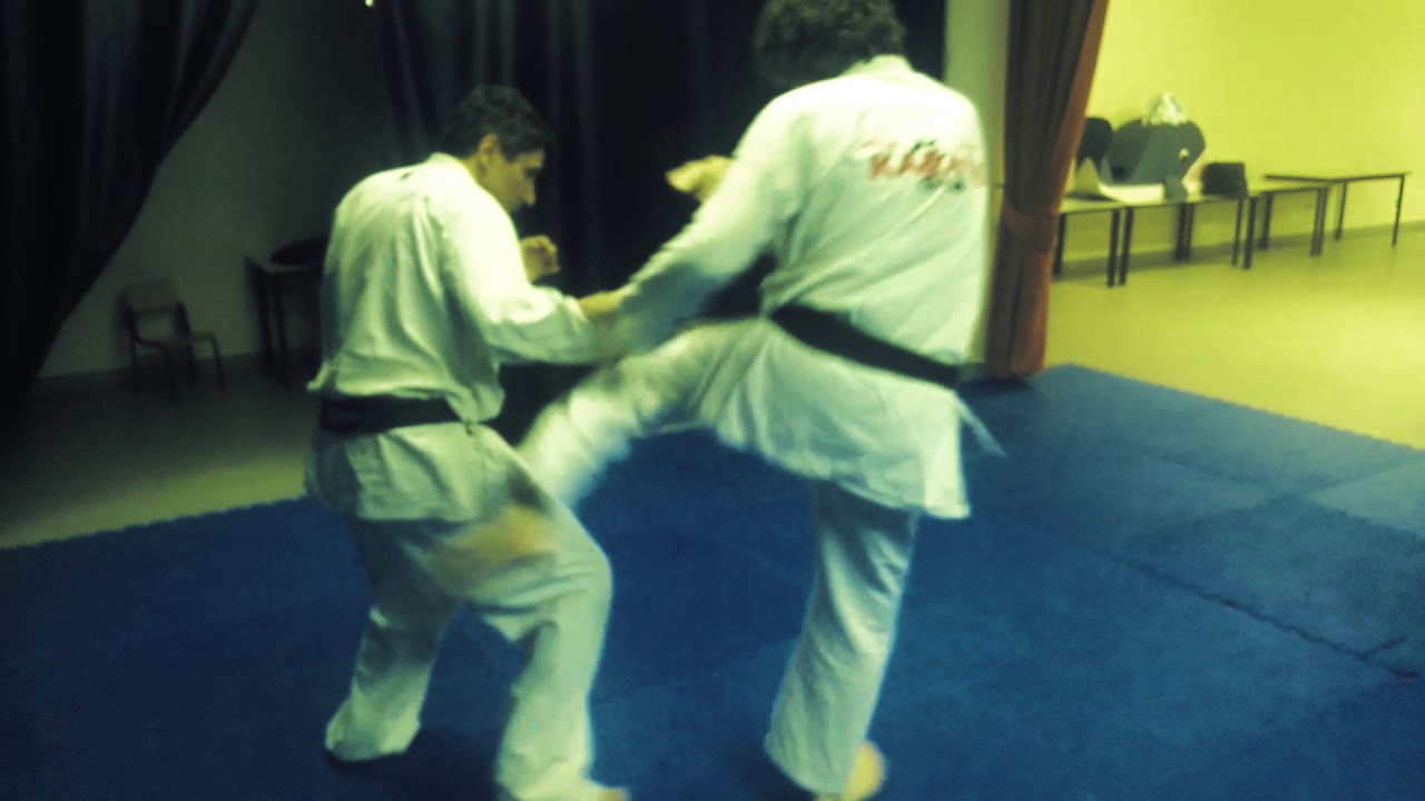 Total Fight Karate - Goju Ryu Karate Jutsu